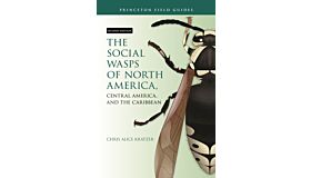 The Social Wasps of North America, Central America, and the Caribbean  (Second Edition Pre-order Summer 2025)