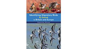 Identifying Migratory Birds by Sound in Britain and Europe