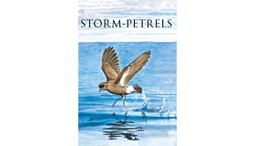 Storm-petrels (July 2024)