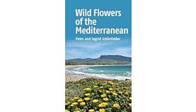 Wild Flowers of the Mediterranean
