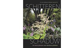 Schitteren in de schaduw- De beste planten voor donkere plekken