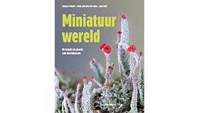 Miniatuurwereld - De kracht en pracht van korstmossen 