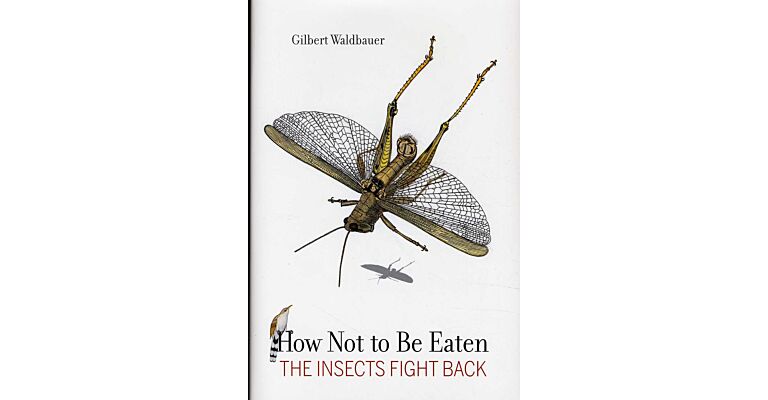 How Not to Be Eaten - The Insects Fight Back