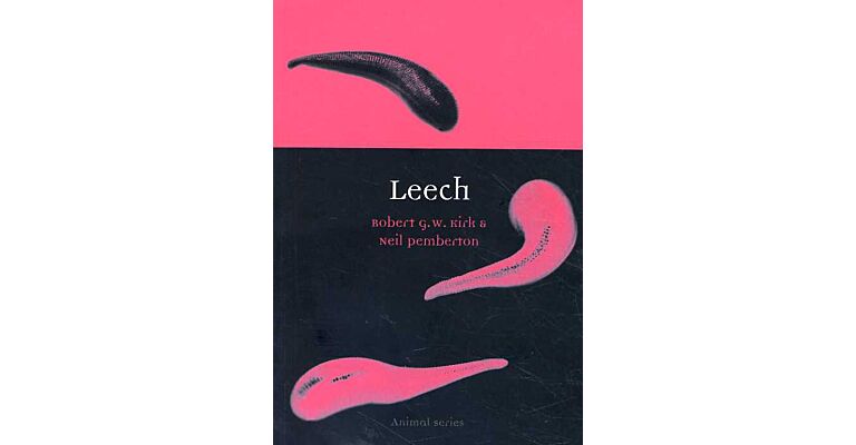 Leech