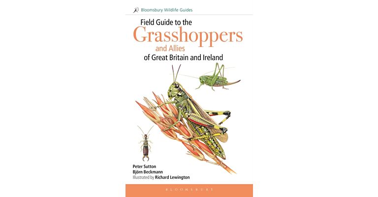 Field Guide to the Grasshoppers and Allies of Great Britain and Ireland : Grasshoppers, Crickets, Earwigs, Cockroaches, Mantids and Stick-insects