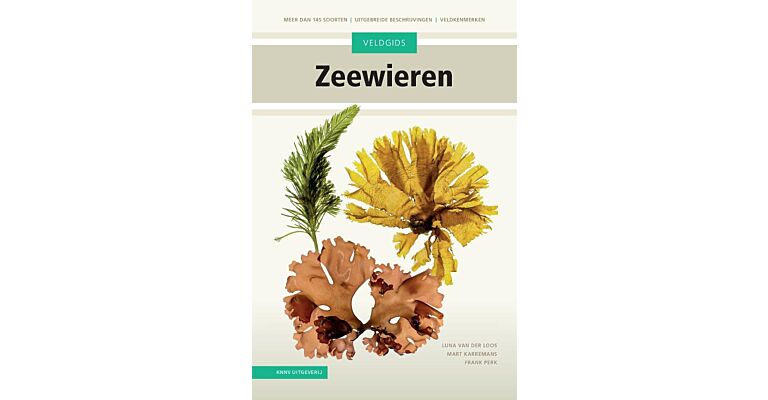 Veldgids Zeewieren -Meer dan 145 soorten – uitgebreide beschrijvingen - veldkenmerken