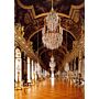 Versailles Furniture of the Royal Palace 17th and 18th centuries (2 Vol.)