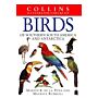 Birds of Southern South America and Antarctica : Collins Illustrated Checklist