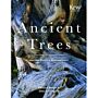 Ancient Trees - Trees that live for a thousand years