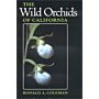 The Wild Orchids of California