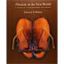 Pheidole in the New World: A Dominant, Hyperdiverse Ant Genus (with CD)
