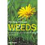 Weeds : An Earth-friendly Guide to their Identification, Use and Control
