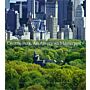 Cental Park , an American Masterpiece : A Comprehensive History of the Nation's First Urban Park