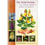 The Wild Orchids of North America and North of Mexico
