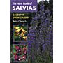 The New Book of Salvias