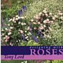 Designing with Roses