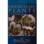 Ground Cover Plants