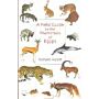 A Field Guide to the Mammals of Egypt (hardcover)