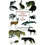 A Field Guide to the Mammals of Egypt (hardcover)