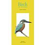 Birds of Mumbai