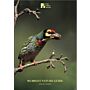 The Mumbai Nature Guide