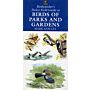 Birdwatcher's Pocket Field Guide to Birds of Parks and Gardens