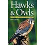 Hawks & Owls of the great lakes region & Eastern North America