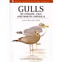 Gulls of Europe, Asia and North America (Second Edition)