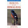 A Photographic Guide to Birds of the Himalayas