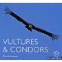 Vultures & Condors