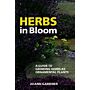 Herbs in Bloom