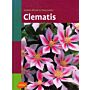 Clematis