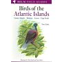 Helm Field Guides - Birds of the Atlantic Islands