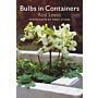 Bulbs in Containers