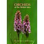 Orchids of the British Isles