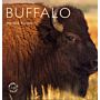 Buffalo