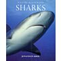 Wildlife Monographs - Sharks
