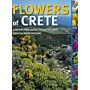 Flowers of Crete