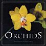 Orchids