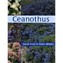 Ceanothus