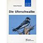 Die Uferschwalbe