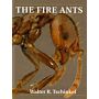 The Fire Ants