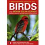 A Photographic Guide of the Indian Ocean Birds