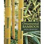 Ornamental Bamboos