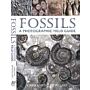 Fossils - A photographic field guide