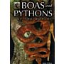 Boas and Pythons of the World