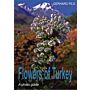 Flowers of Turkey - A photo guide