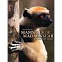 Mammals of Madagascar - A Complete Guide (PBK)