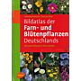 Bildatlas der Farn- und Blütenpflanzen Deutschlands