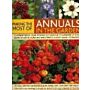 Making the Most of Annuals in the Garden